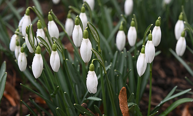 Teplé předjaří pokračuje. V Dukovanech padl 29 let starý teplotní rekord