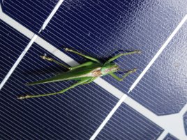 Vědci prolomili hranici solární energie. Výsledek překvapil i skeptiky