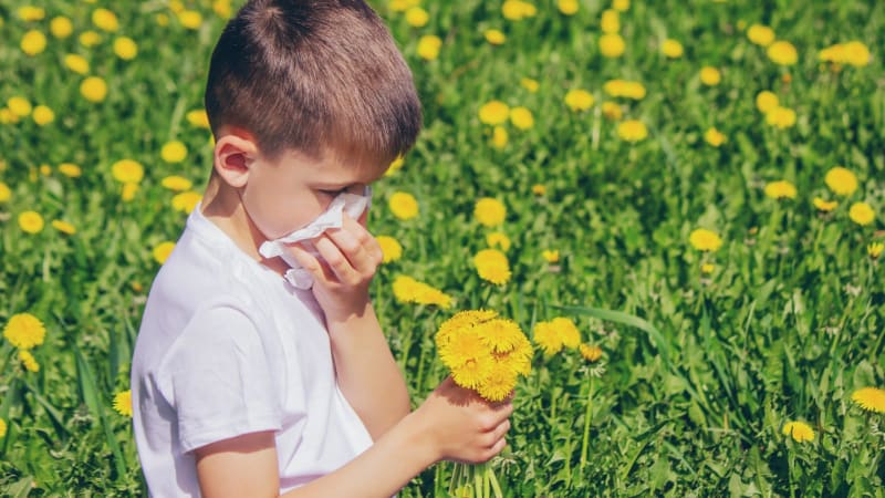 Co vám uleví při alergické rýmě? Podívejte se na osvědčené tipy. Zjara trpí až třetina Čechů