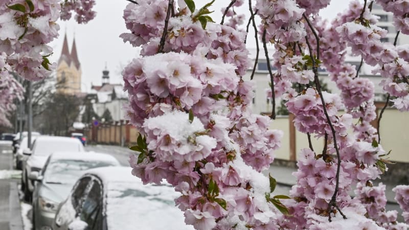 Sněžení se žene Českem, pak přijde zlom. RADAR ukazuje, kde napadne nejvíc