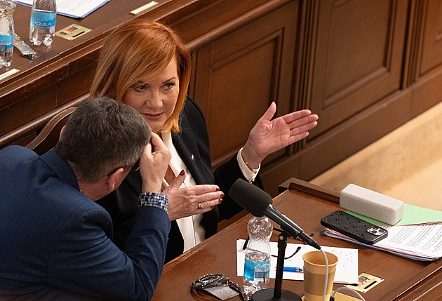 Sněmovna schválila zákon o regulaci cen paliv, zvrátila veto Senátu