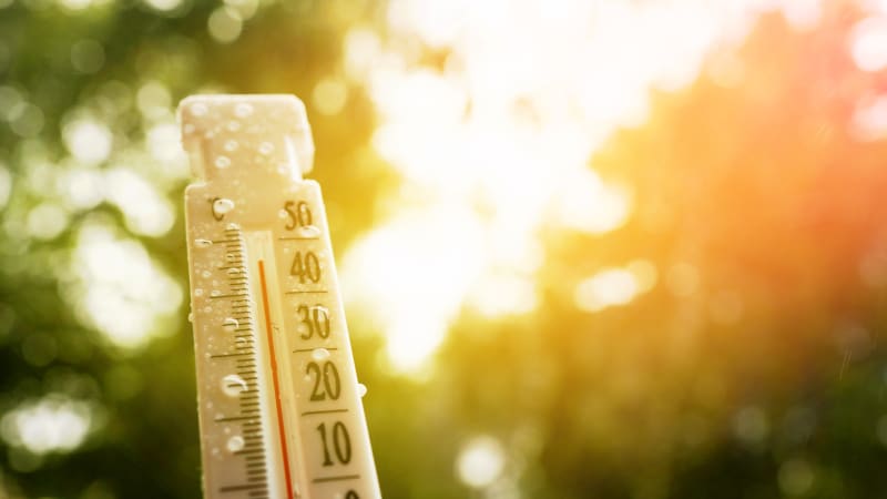 Čeká nás nejteplejší léto v historii? El Niño může rozjet extrémy, varují klimatologové