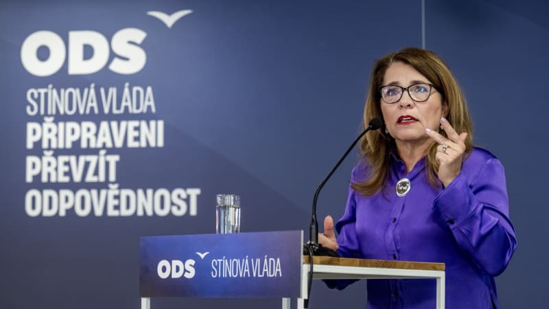 Zajíčková: Zpoplatnění univerzit se nevyhneme. Demografická situace školství doběhne